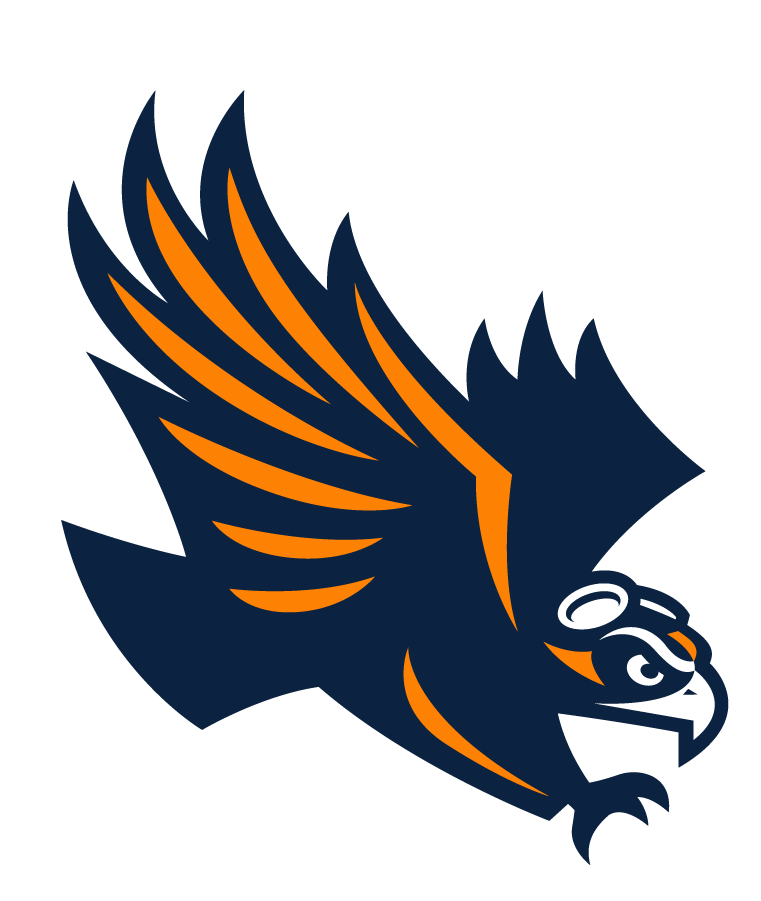 Tennessee-Martin Skyhawks 2020-Pres Secondary Logo iron on transfers for clothing